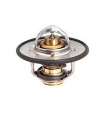 Cummins Thermostat 5.9L