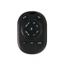 Pana-Pacific Delphi Handheld Remote